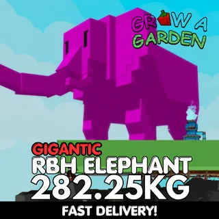 GIGANTIC Rainbow Hatched Elephant 282.25KG | RBH | Age 500 ⚡INSTANT DELIVERY⚡