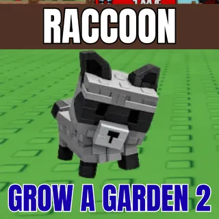 Raccoon【GAG2】| 100% CLEAN | Instant Delivery✅