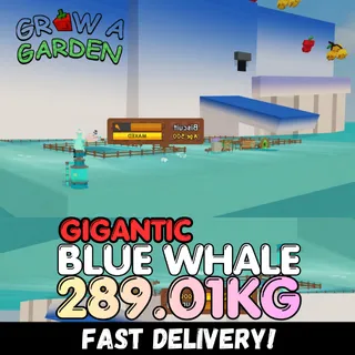 GIGANTIC Blue Whale 289.01KG | Huge | Age 500 ⚡INSTANT DELIVERY⚡