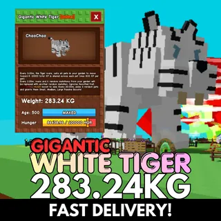 GIGANTIC WHITE TIGER 283.24KG | DLC | Huge | Age 500⚡INSTANT DELIVERY⚡