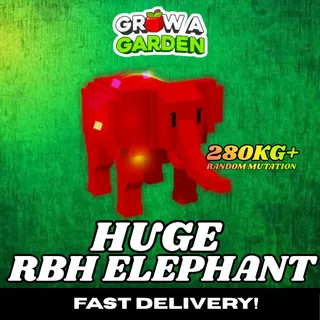 Rainbow Hatched Elephant 280KG+ | Huge | Age 500 ⚡Fast Delivery⚡