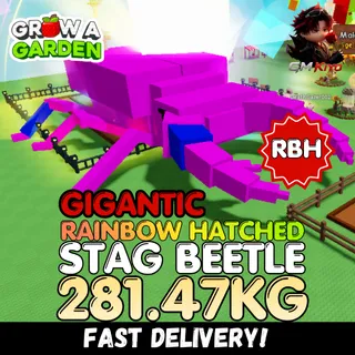 GIGANTIC Rainbow Hatched Stag Beetle 281.47KG | RBH | Age 500 ⚡INSTANT DELIVERY⚡