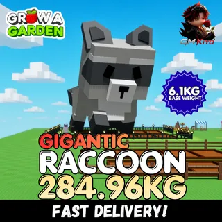 GIGANTIC Raccoon 284.96KG | Huge | Age 500 ⚡INSTANT DELIVERY⚡