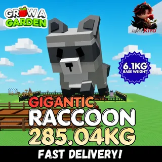 GIGANTIC Raccoon 285.04KG | Huge | Age 500 ⚡INSTANT DELIVERY⚡