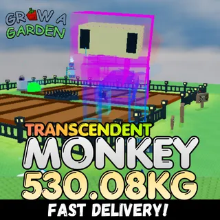 TRANSCENDENT Monkey 530.08KG | Colossal | Rare KG⚡INSTANT DELIVERY⚡