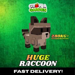 HUGE Raccoon 280KG+ | Age 500 ⚡INSTANT DELIVERY⚡