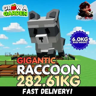 GIGANTIC Raccoon 282.61KG | Huge | Age 500 ⚡INSTANT DELIVERY⚡