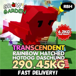 TRANSCENDENT Rainbow Hatched Hotdog Daschund 290.45KG | RBH Hotdog ⚡INSTANT DELIVERY⚡