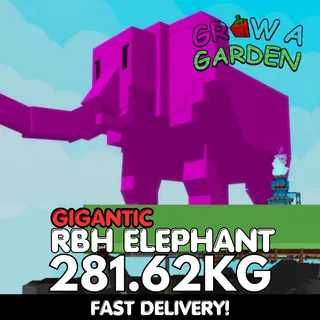 GIGANTIC Rainbow Hatched Elephant 281.62KG | RBH | Age 500 ⚡INSTANT DELIVERY⚡