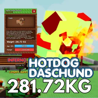 INFERNO Huge Hotdog Daschund 281.72KG | Age 500⚡INSTANT DELIVERY⚡