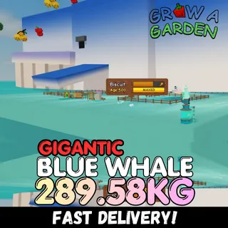 GIGANTIC Blue Whale 289.58KG | Huge | Age 500 ⚡INSTANT DELIVERY⚡