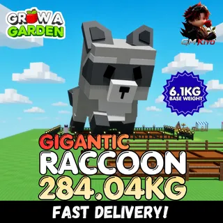 GIGANTIC Raccoon 284.04KG | Huge | Age 500 ⚡INSTANT DELIVERY⚡