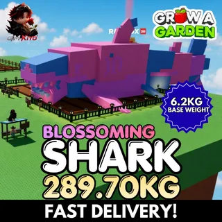 BLOSSOMING Shark 289.70KG | DLC | Rare KG | 6.2KG BW ⚡INSTANT DELIVERY⚡