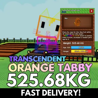 COLOSSAL TRANSCENDENT Orange Tabby 525.68KG | Rare Size ⚡INSTANT DELIVERY⚡