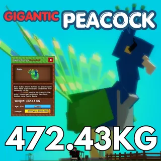 GIGANTIC Peacock 472.43KG | 15sec CD | Age 500⚡INSTANT DELIVERY⚡
