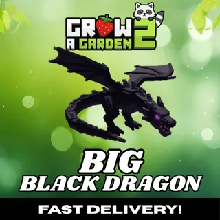 BIG Black Dragon | GAG2 ⚡INSTANT DROP DELIVERY⚡
