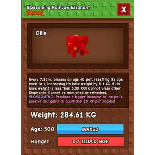 284.61KG Huge RBH Elephant | Blossoming| Age 500 ⚡Fast Delivery⚡