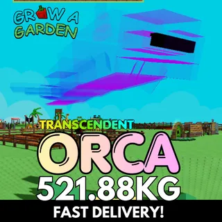 TRANSCENDENT ORCA 521.88KG | COLOSSAL | Age 500 ⚡INSTANT DELIVERY⚡