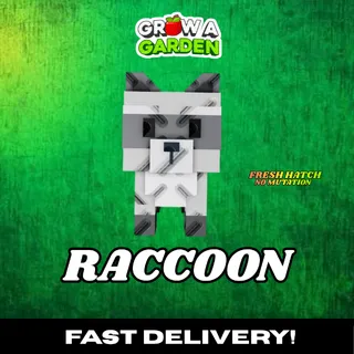 Raccoon [Newly Hatched] ⚡INSTANT DELIVERY⚡