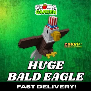 Bald Eagle 280KG+ | Huge | Age 500 ⚡INSTANT DELIVERY⚡