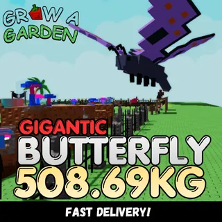 GIGANTIC Butterfly 508.69KG | Colossal | Age 500 ⚡INSTANT DELIVERY⚡