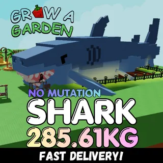 Huge Shark 285.61KG | Age 500 ⚡INSTANT DELIVERY⚡