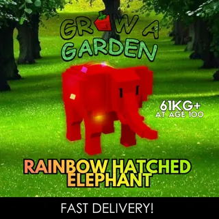 GIGANTIC Rainbow Hatched Elephant 61KG+ | RBH | Age 500 ⚡INSTANT DELIVERY⚡