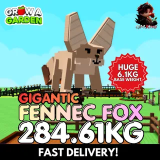 GIGANTIC Fennec Fox 284.61KG | 6.1KG BW | Age 500 ⚡INSTANT DELIVERY⚡