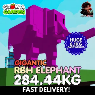 GIGANTIC Rainbow Hatched Elephant 284.44KG | Huge | Age 500 ⚡INSTANT DELIVERY⚡