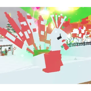 15s Colossal Peppermint Peacock 110KG | Rare |⚡INSTANT DELIVERY⚡