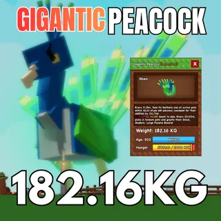 GIGANTIC Semi-Huge Peacock 182.16KG | 15sec CD | Age 500⚡INSTANT DELIVERY⚡