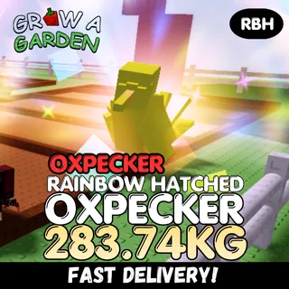 OXPECKER Rainbow Hatched Oxpecker 283.74KG | RBH | Age 500 ⚡INSTANT DELIVERY⚡