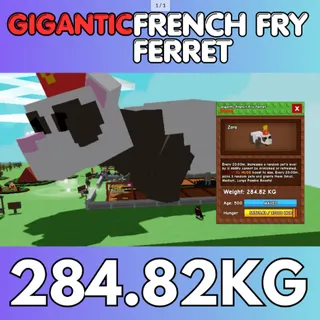 GIGANTIC Huge French Fry Ferret FFF 284.82KG + | 20min CD | Age 500⚡INSTANT DELIVERY⚡