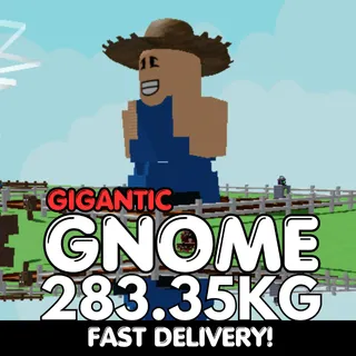 GIGANTIC Gnome 283.35KG | Huge | Age 500 ⚡INSTANT DELIVERY⚡