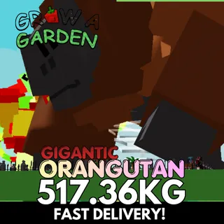 GIGANTIC ORANGUTAN 517.36KG | COLOSSAL | Age 500 ⚡INSTANT DELIVERY⚡