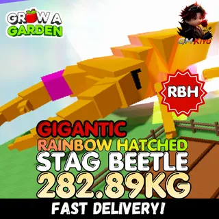 GIGANTIC Rainbow Hatched Stag Beetle 282.89KG | RBH | Age 500 ⚡INSTANT DELIVERY⚡