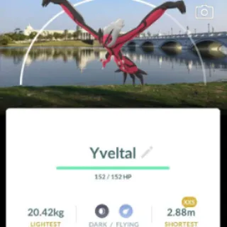 Pokémon Go XXS Yveltal BG -Trade