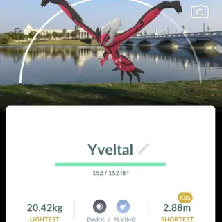 Pokémon Go XXS Yveltal -Trade