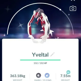 POKEMON GO - Shiny Yvetal- TRADE