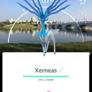 Pokémon Go Shiny 50 LV Xerneas BG three moves, and Chicago BG bull-Trade