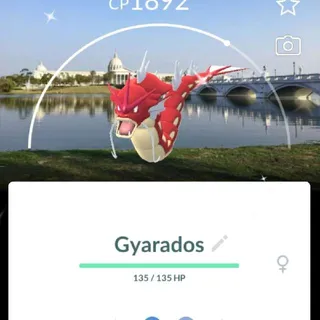 Pokémon Go Shiny 50 LV Gyarados BG-Trade