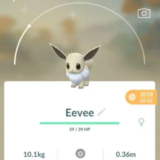 Pokémon Go guaranted lucky shiny Eevee-Trade
