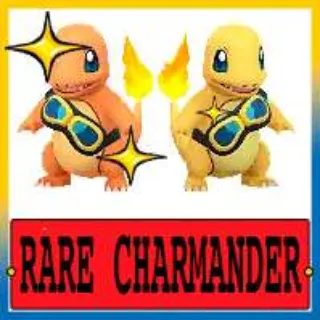POKEMON GO - Charmander with Friede's Goggles Shundo - Catch