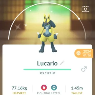 POKEMON GO - Shiny Lucario- TRADE