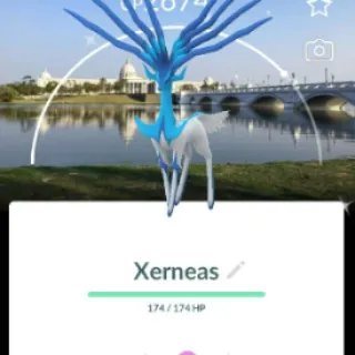 Pokémon Go Shiny 50 LV Xerneas BG three moves, and Chicago BG bull-Trade