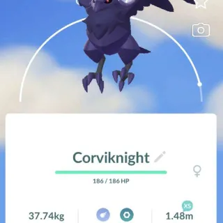 Pokémon Go 40 Level Corviknight-Trade