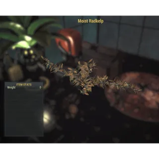 MISC - 10x MOIST RADKELP