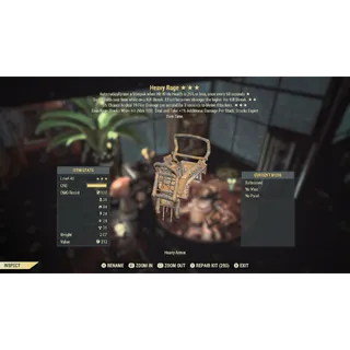 HEAVY & STURDY RAGE ARMOR SET