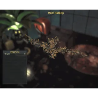 MISC - 10x MOIST RADKELP