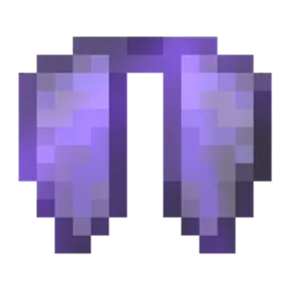 Elytra DonutSMP